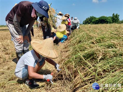 傳統米桶|米食文化傳承與推廣(農業部全球資訊網)